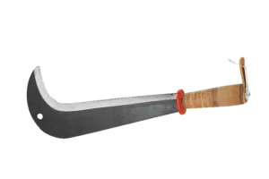 Zwitsers kapmes, 43 cm